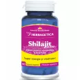 Super Shilajit [Mumio] 350mg extract cu 60% acid fulvic 60cps - HERBAGETICA