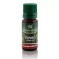 Ulei parfumat forest 10ml - AROMA LAND