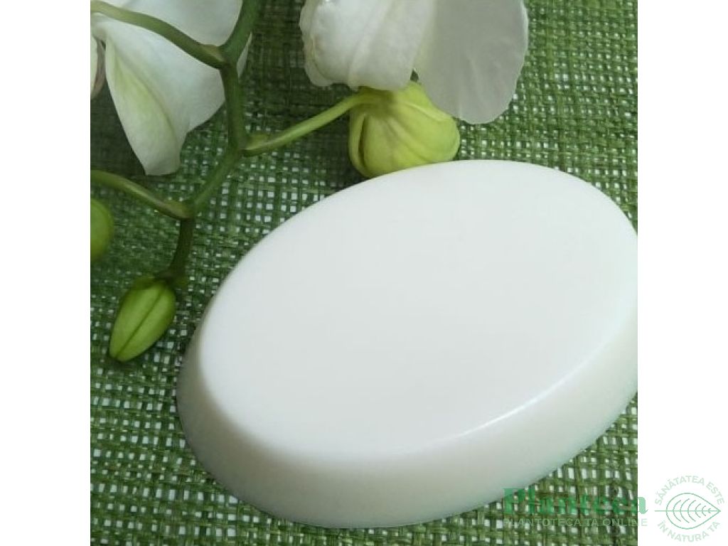 Forma sapun Oval 4cavitati - MAYAM