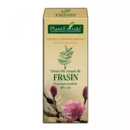 Gemoderivat frasin muguri 50ml - PLANTEXTRAKT