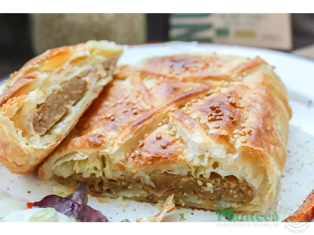 Friptura vegana No beef 200g - TERRA VEGANE