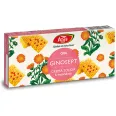 Kit Ginosept [Crema solida 6mndz + Crema 50ml] 2b - FARES