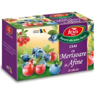 Ceai cu merisoare afine 20dz - FARES