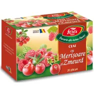 Ceai cu merisoare zmeura 20dz - FARES