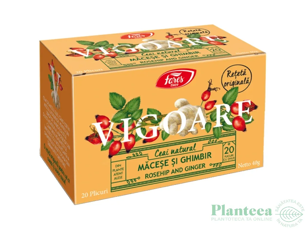 Ceai natural Vigoare macese ghimbir 20dz - FARES