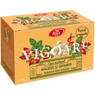 Ceai natural Vigoare macese ghimbir 20dz - FARES