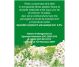 Ceai coada soricelului 20dz - FARES