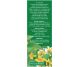 Ceai colon sanatos [colon iritabil] 50g - FARES