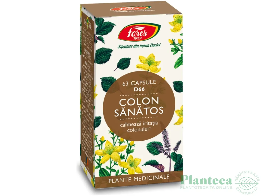 Colon sanatos 63cps - FARES