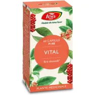 Vital 60cps - FARES