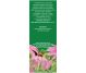 Ceai echinaceea 50g - FARES