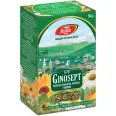 Ceai ginosept 50g - FARES