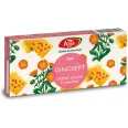 Kit Ginosept [Crema solida 6mndz + Crema 50ml] 2b - FARES