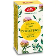 Colesterol 63cps - FARES
