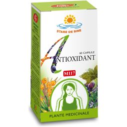 Antioxidant 60cps - FARES