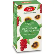 Detoxifiant ganoderma 63cps - FARES