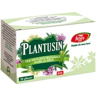 Ceai Plantusin [AntiBronsitic] 20dz - FARES