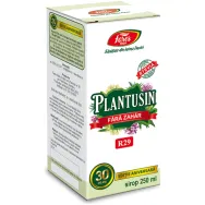 Sirop Plantusin clasic fara zahar 250ml - FARES