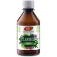 Sirop Plantusin clasic 250ml - FARES