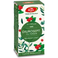 Diurosept cu Merisor 63cps - FARES