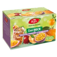 Ceai rece fructul pasiunii mandarine 12dz - FARES