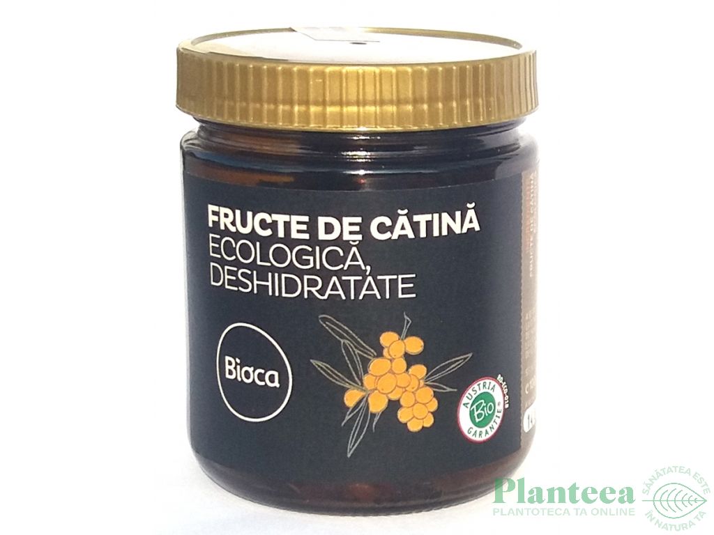 Catina fructe uscate eco 100g - BIOCA