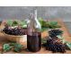 Tinctura elixir soc fructe 200ml - DACIA PLANT