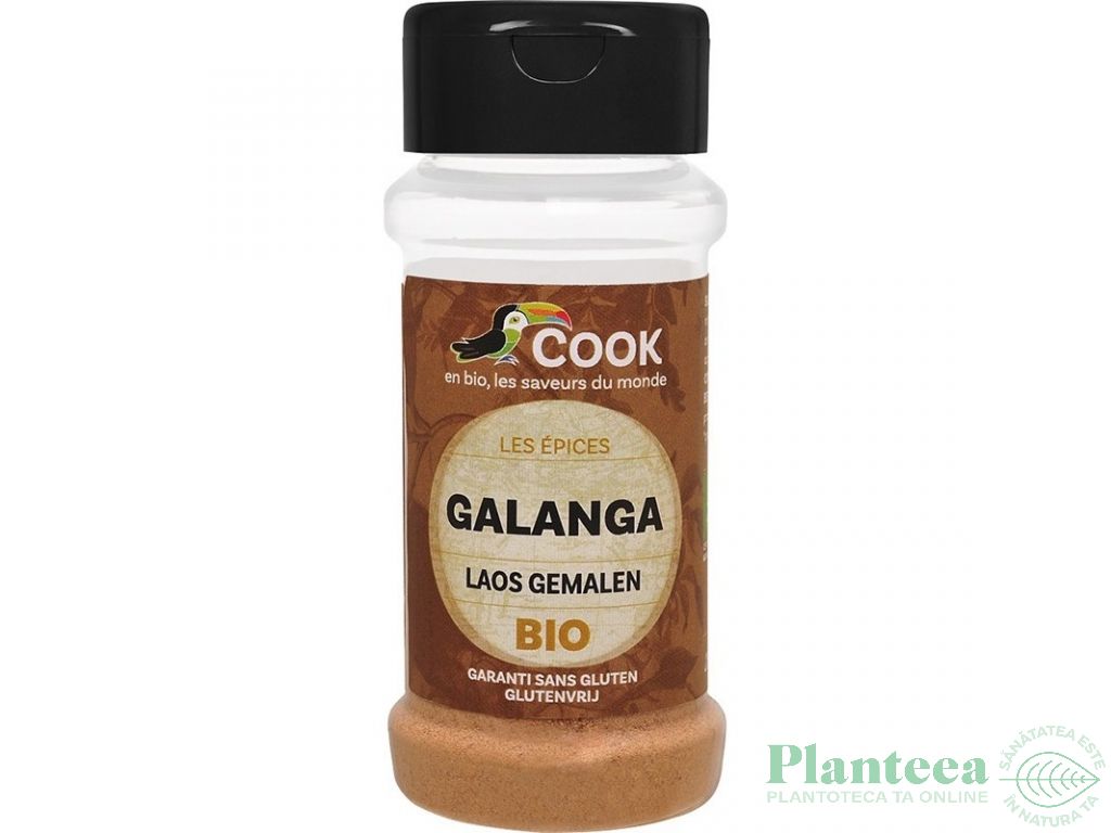 Condiment galangal macinat bio 25g - COOK