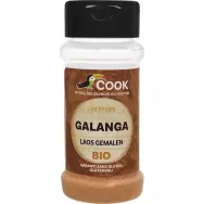 Condiment galangal macinat bio 25g - COOK