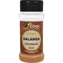 Condiment galangal macinat bio 25g - COOK