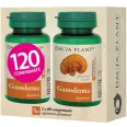 Ganoderma 120cp - DACIA PLANT