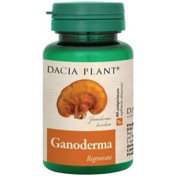 Ganoderma 60cp - DACIA PLANT