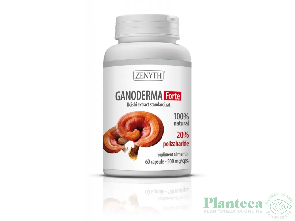 Ganoderma forte 500mg 60cps - ZENYTH