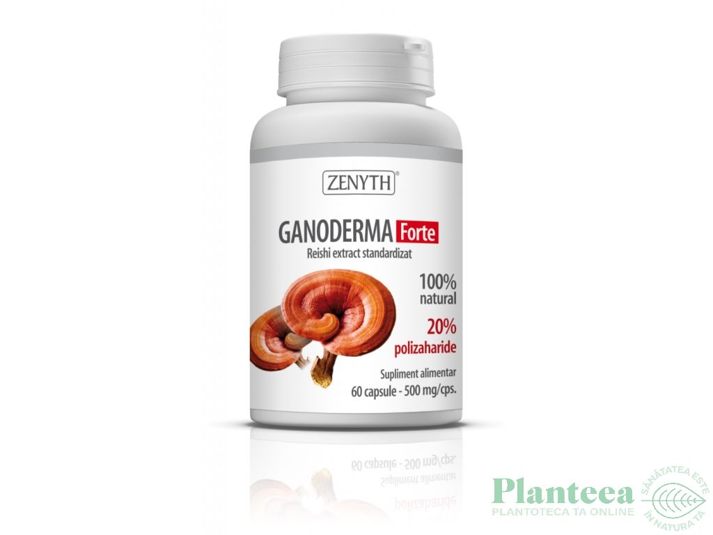 Ganoderma forte 500mg 60cps - ZENYTH