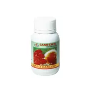 Gano garcinia 120cp - GANO EXCEL