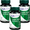 Set Garcinia extract 3x60cps - DVR PHARM