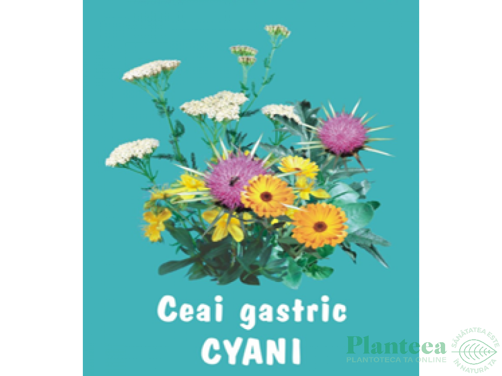 Ceai gastric 70g - CYANI