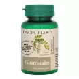 Gastrocalm 60cp - DACIA PLANT