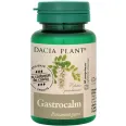 GastroCalm 60cp - DACIA PLANT