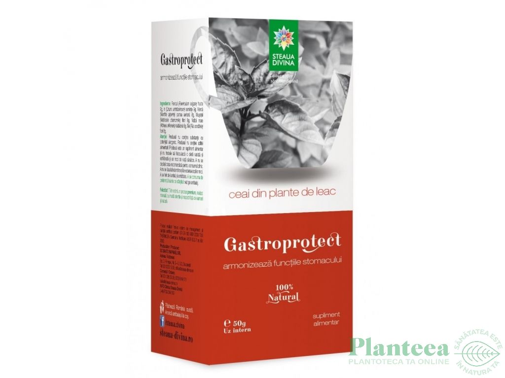 Ceai GastroProtect 50g - SANTO RAPHAEL