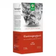 Ceai GastroProtect 50g - SANTO RAPHAEL