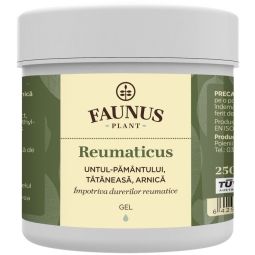 Gel antireumatic Reumaticus 250ml - FAUNUS PLANT