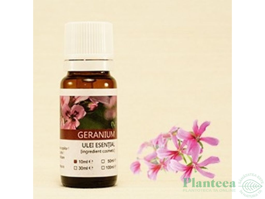 Ulei esential geranium bourbon 10ml - SANFLORA