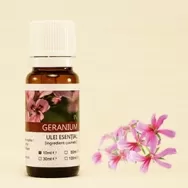Ulei esential geranium bourbon 10ml - SANFLORA