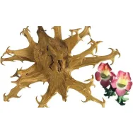 Balsam gel gheara diavolului 250ml - ALPIFRESH