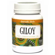 Pulbere giloy bio 90g - DRAGON SUPERFOODS