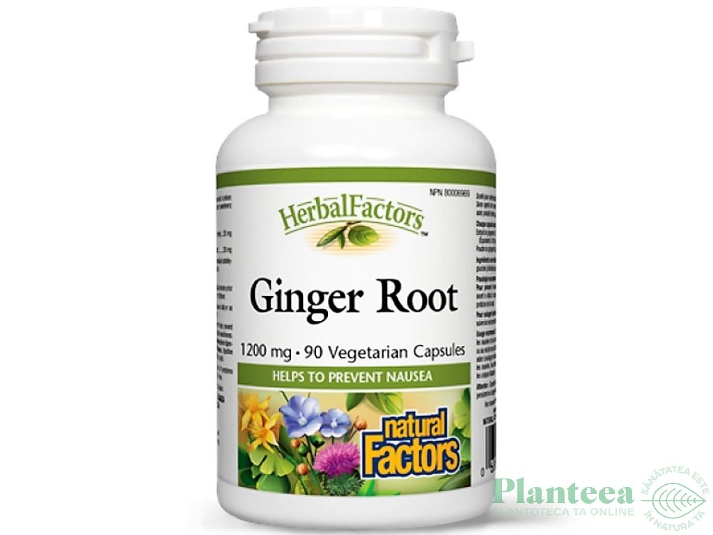 Ginger root [ghimbir] 1200mg 90cps - NATURAL FACTORS
