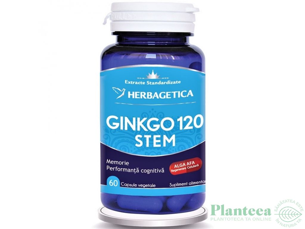 Ginkgo120+ stem 60cps - HERBAGETICA