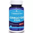Ginkgo120+ stem 60cps - HERBAGETICA