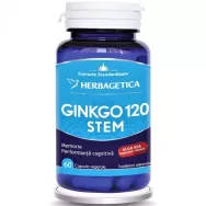 Ginkgo120+ stem 60cps - HERBAGETICA